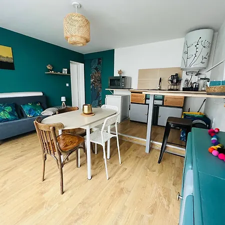 Apartamento Petit Cocon En Auvergne *